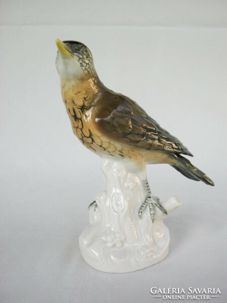 Volkstedt porcelain bird pine thrush 16 cm