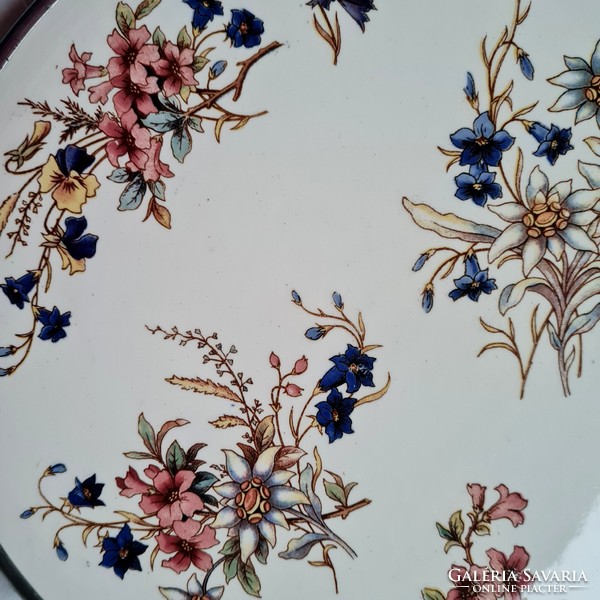 Sarreguemines Righi faience tray