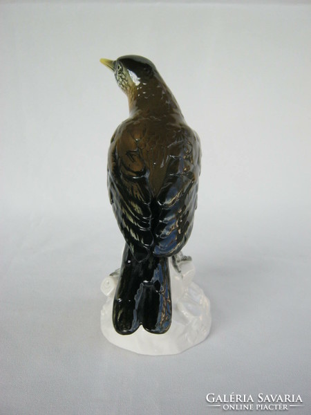 Volkstedt porcelán madár fenyő rigó 16 cm