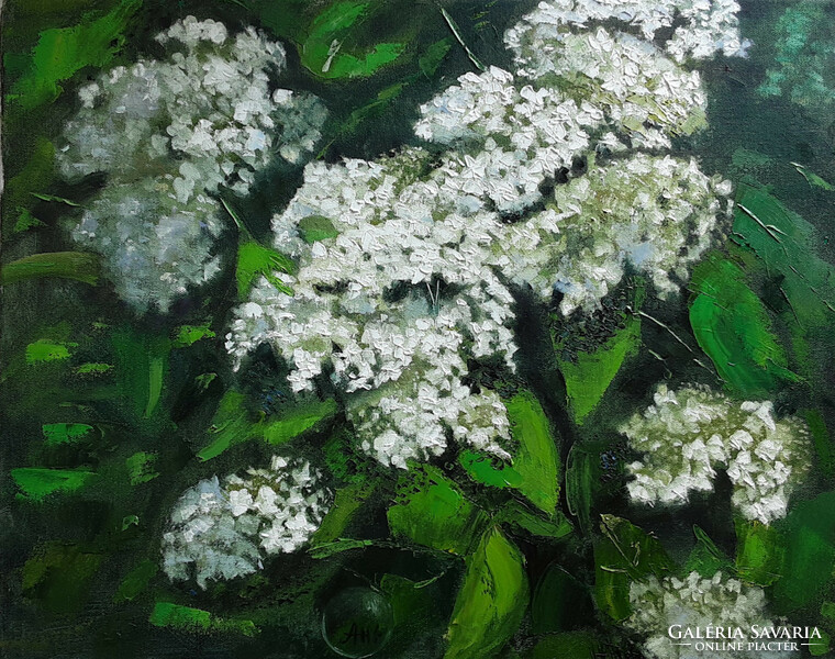 Antiyipina galina: hydrangea, oil painting, canvas, 40x50cm