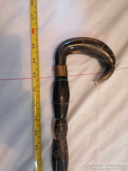 Horned, specially shaped walking stick