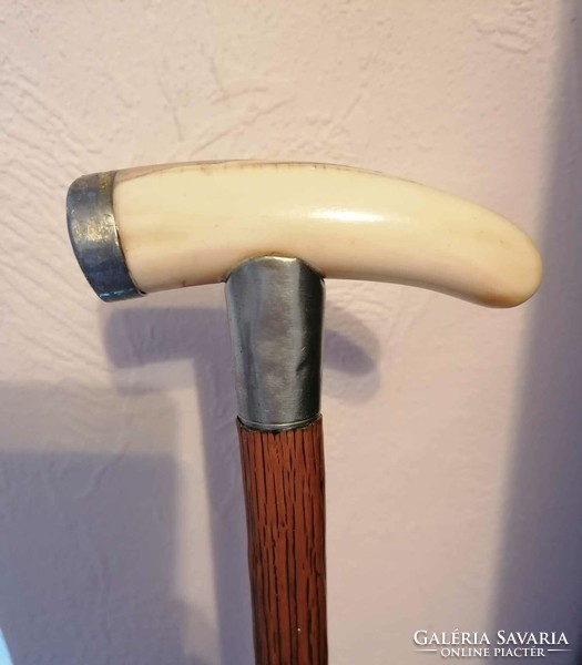 Antique walking stick with bone head