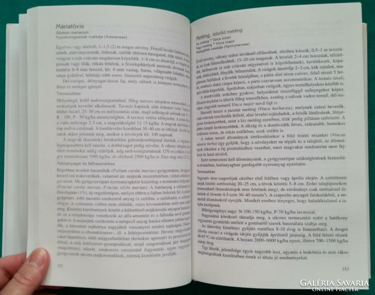 H. Mészáros Erzsébet: Termeszthető gyógynövények - Természetgyógyászat > Fűszer- és gyógynövény