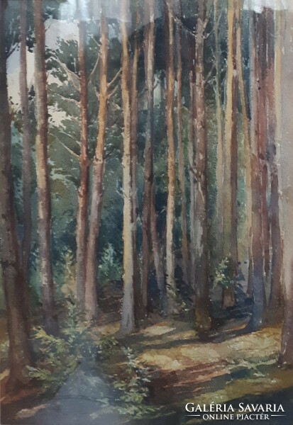 Forest detail, watercolor signed