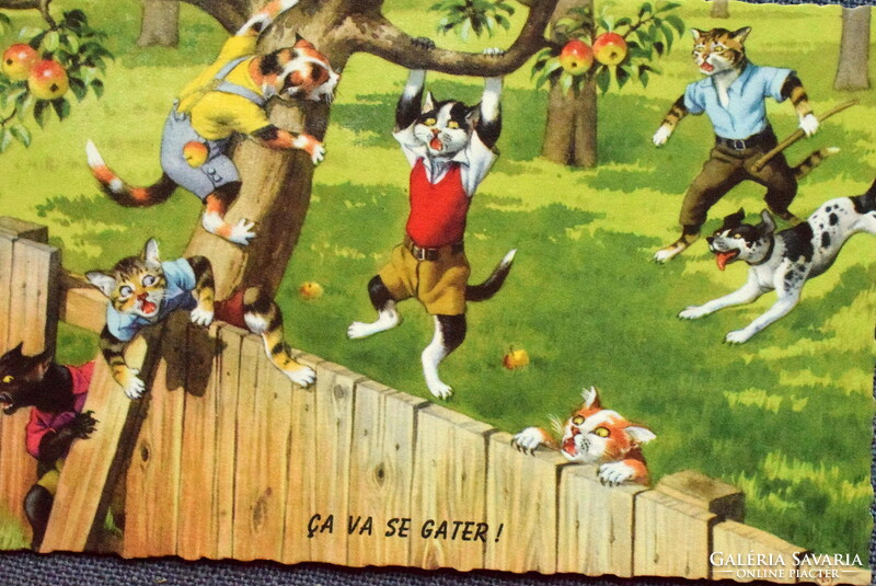 Régi retro humoros grafikus képeslap cica  - almatolvaj cicák
