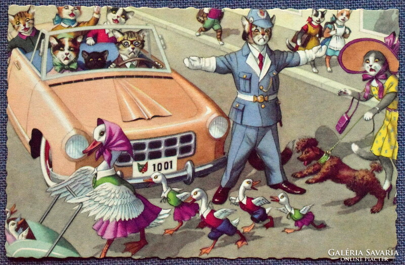 Old retro humorous graphic postcard kitten - kittens and ducks, traffic chaos