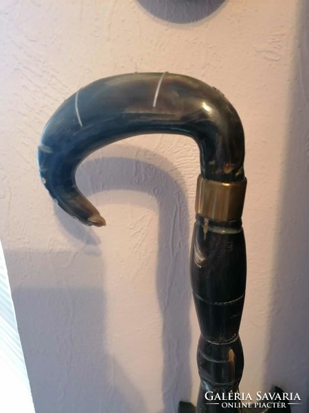Horned, specially shaped walking stick