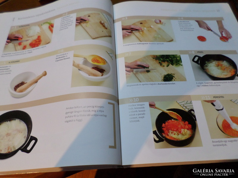 Flavors and cultures Indian cuisine step by step, 2011