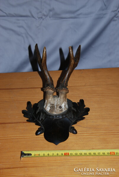 Old hunting trophies (3 deer antler wall decorations)