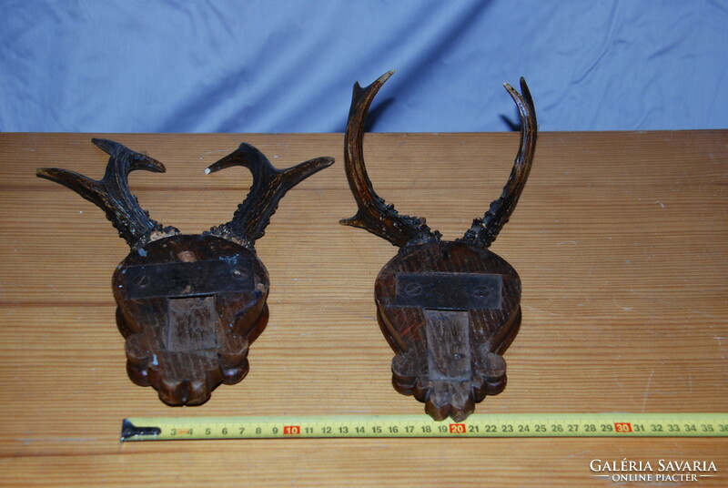 Old hunting trophies (3 deer antler wall decorations)