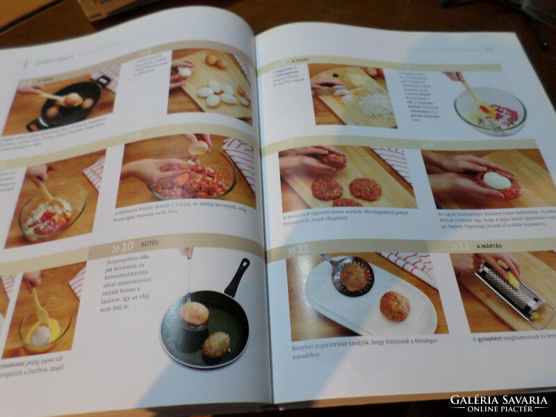 Flavors and cultures Indian cuisine step by step, 2011