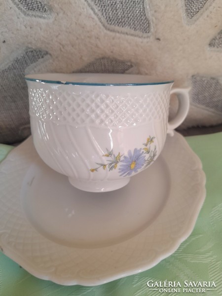 Raven's house tea cup