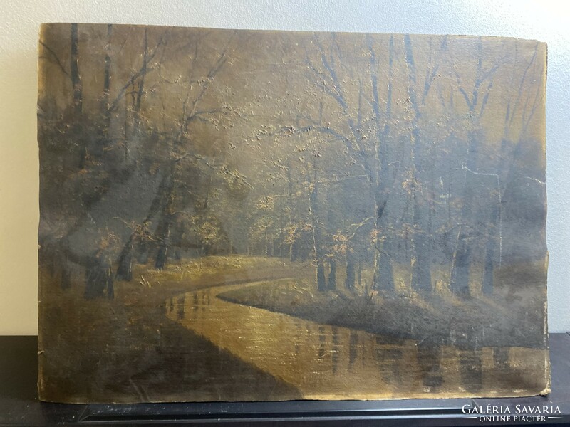 Jenő Markovich: forest with stream
