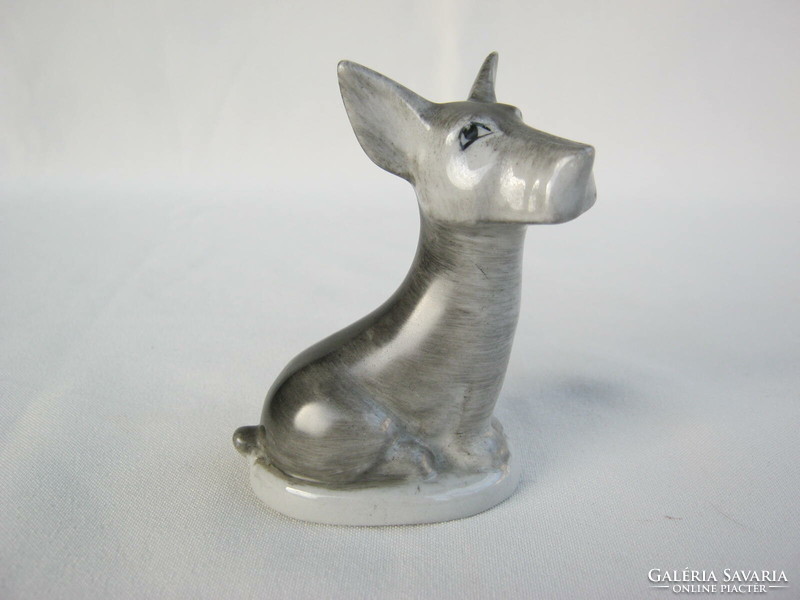 Drasche porcelain terrier dog