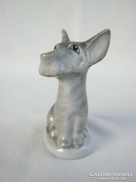 Drasche porcelain terrier dog