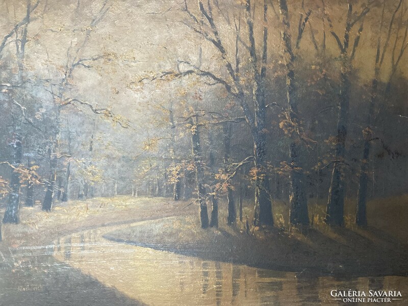 Jenő Markovich: forest with stream