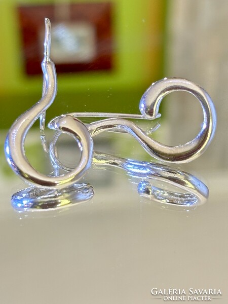 Beautiful pair of silver earrings