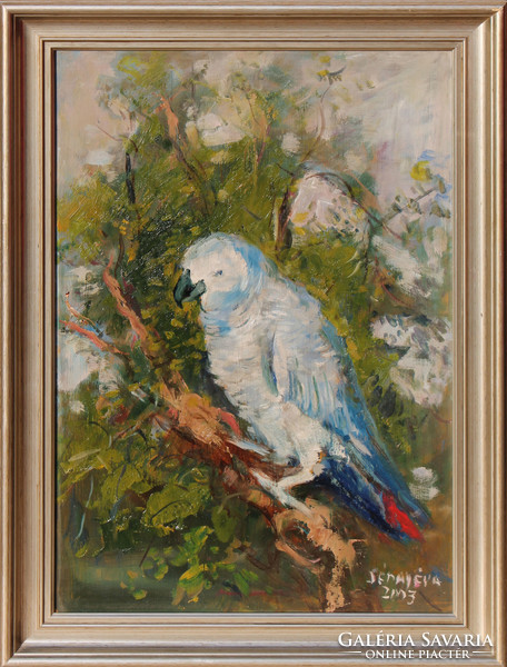 Éva Séday: parrot, 2003