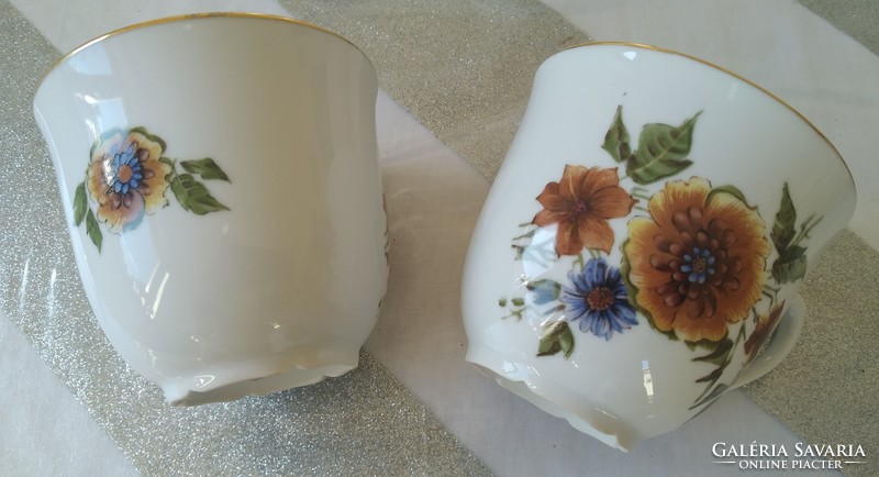 Haas & Czjzek Schlaggenwald porcelán csészék ( 6 db )