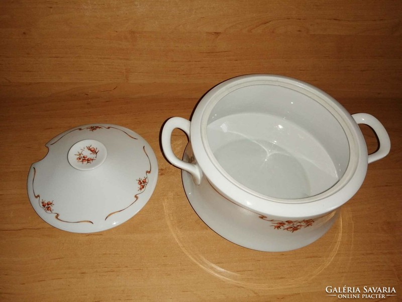 Alföldi porcelain rosehip pattern soup bowl (6/p)