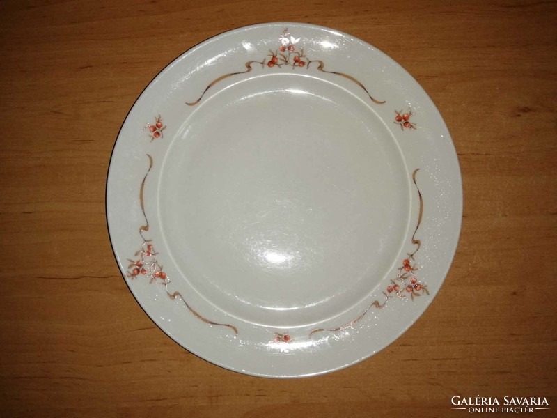 Alföldi porcelain rosehip plate - 24 cm (2/p)