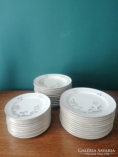 45-piece suisse lagenthal porcelain tableware