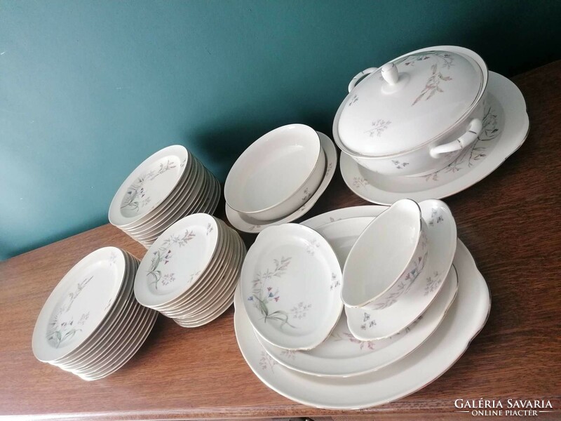 45-piece suisse lagenthal porcelain tableware