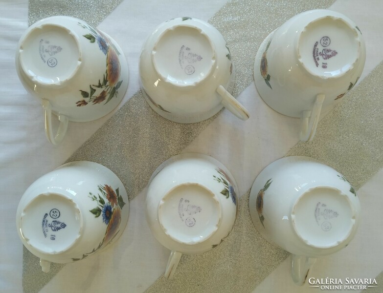 Haas & czjzek schlaggenwald porcelain cups (6 pcs.)