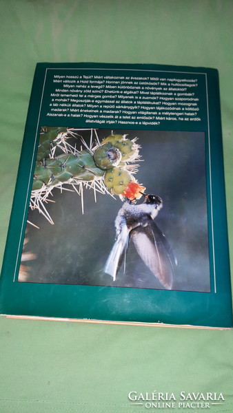 1995.Csaba Emese - A természet ABC-je CSALÁDI KÉRDEZZ-FELELEK képes album könyv a képek szerint