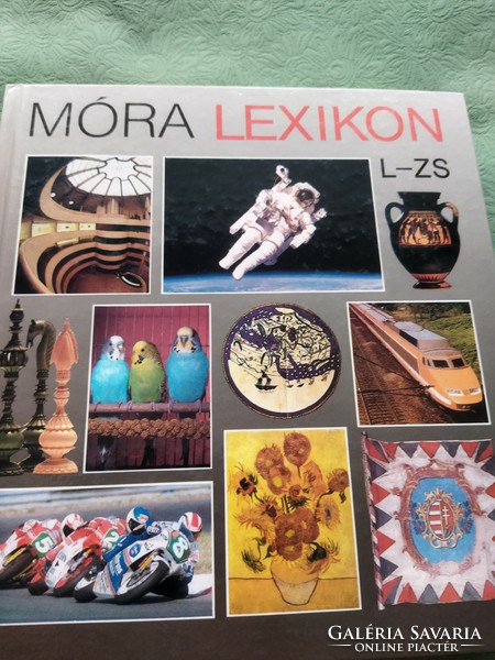 Berend : Móra lexikon I-II.kötet