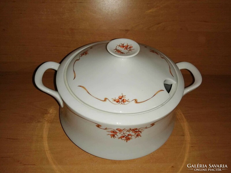 Alföldi porcelain rosehip pattern soup bowl (6/p)