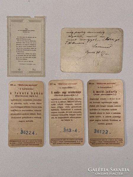 Papír régiség tétel 1890-1920 14 db