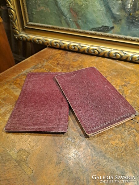 Royal grand hotel Budapest passport cover in a pair