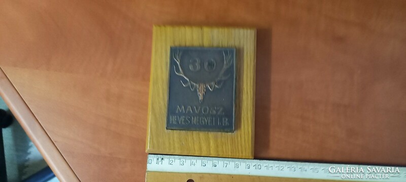 Mavosz commemorative plaque 30 years of fierce county i, b