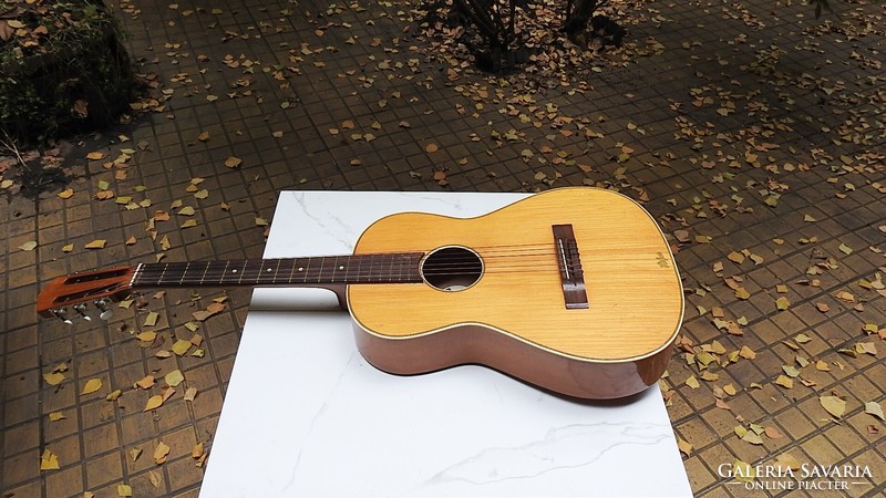 Acoustic guitar 