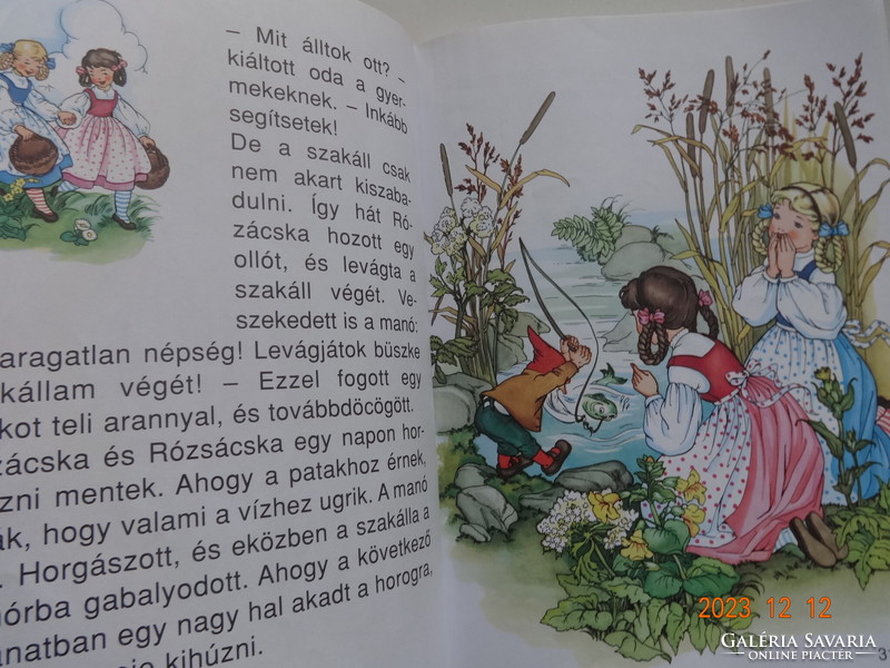 The most beautiful fairy tales of the Brothers Grimm - old storybook with lavish illustrations