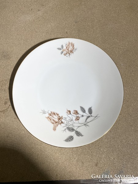 Régi csehszlovák desszertes porcelán tányérok, 6 db, 24 cm-es. 2218