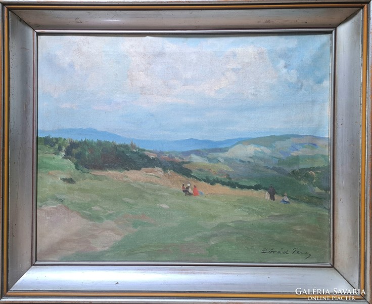 Zórád gauze landscape (oil, canvas) in a frame - a trip in nature