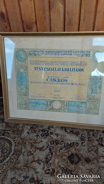Antique gold certificate award for rare cattle breeding