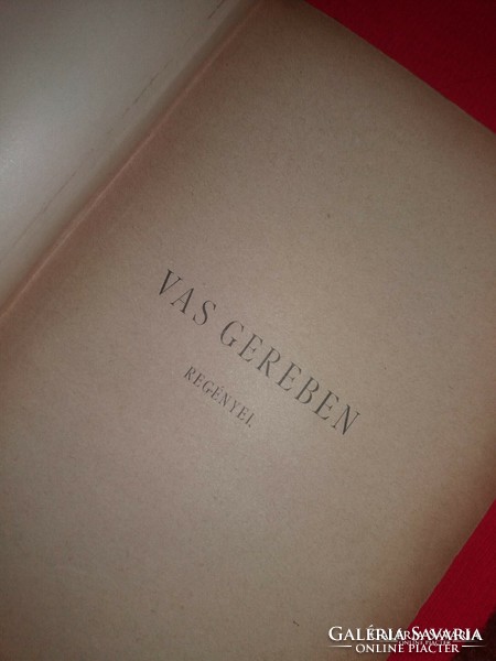 1887 Novel book vass gereben late writer from Baja: jurat life period drawing according to pictures mehner