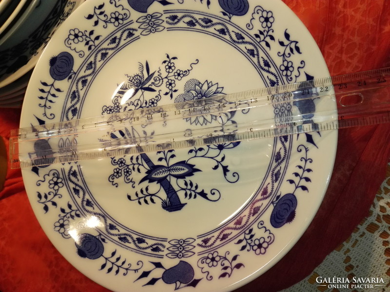 New, porcelain onion pattern plate... 6 pieces deep.