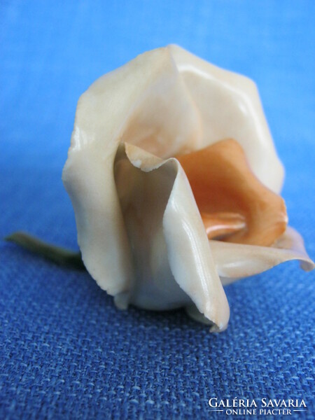 Aquincum porcelain rose