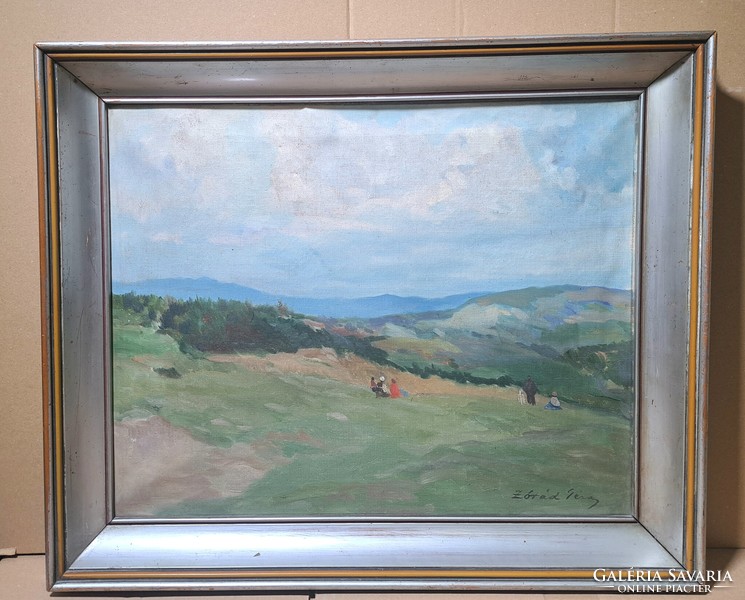 Zórád gauze landscape (oil, canvas) in a frame - a trip in nature