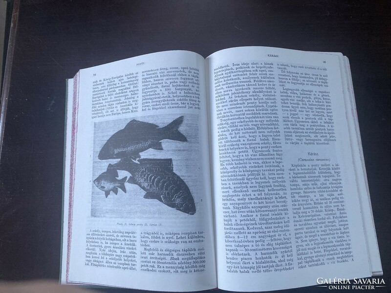 Alfréd Brehm: the world of animals in one volume (little Brehm, reprint)