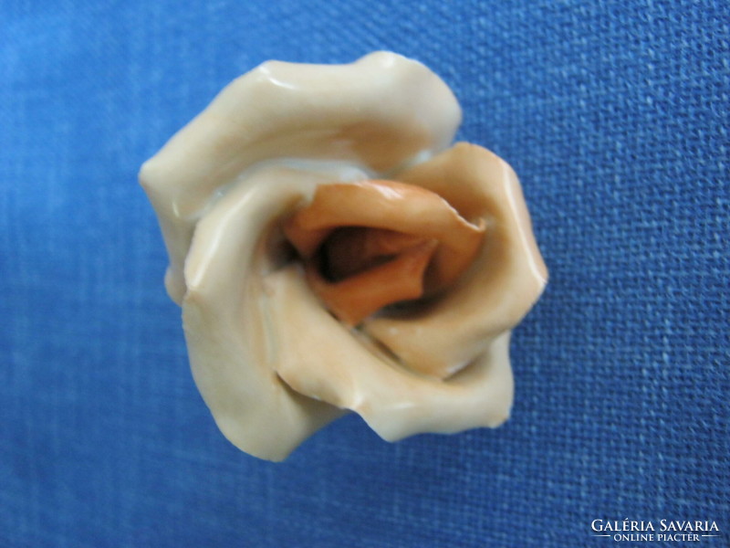 Aquincumi porcelán rózsa