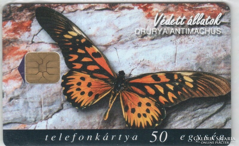 Magyar telefonkártya 0297  1998 Lepke      200.000 Db-os
