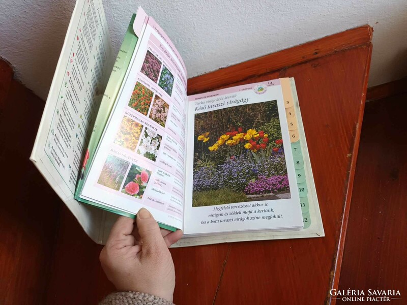 Kertészkedés télen nyáron - Kertészek új kézikönyve