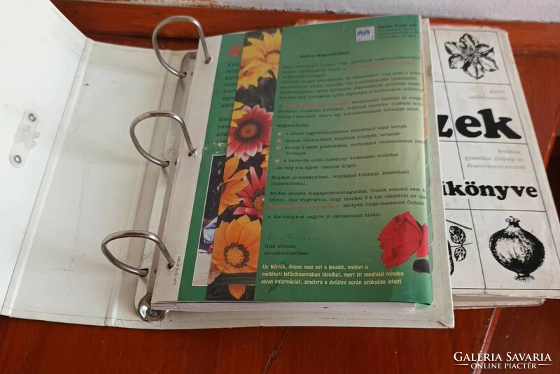 Kertészkedés télen nyáron - Kertészek új kézikönyve