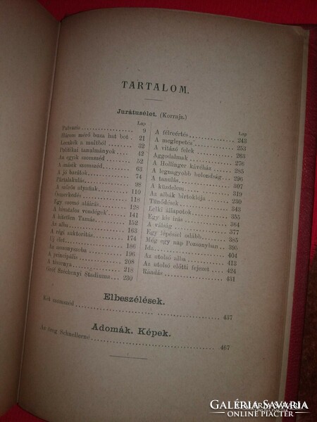 1887 Novel book vass gereben late writer from Baja: jurat life period drawing according to pictures mehner
