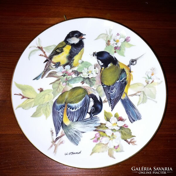 "Kohlmeise "  (káposzta cinege),.Tirschenreuth ,madaras, német porcelán fali tányér, falidísz. Sorsz